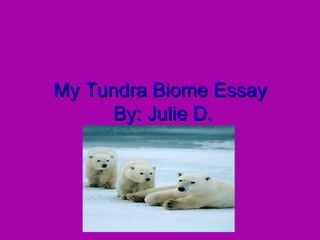 My Tundra Biome Essay  By: Julie D. 