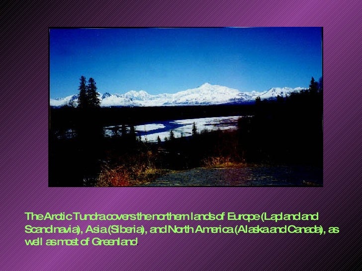 Siberian tundra image