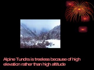 Alpine Tundra is treeless because of high elevation rather than high altitude  