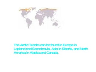 The Arctic Tundra can be found in Europe in Lapland and Scandinavia, Asia in Siberia, and North America in Alaska and Canada. 