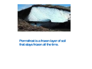 Permafrost is a frozen layer of soil that stays frozen all the time. 