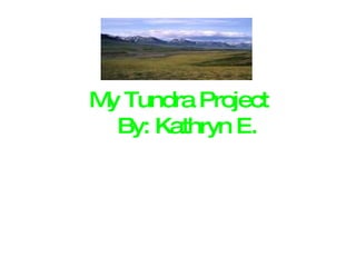 My Tundra Project   By: Kathryn E. 
