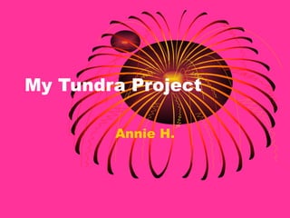 My Tundra Project Annie H. 