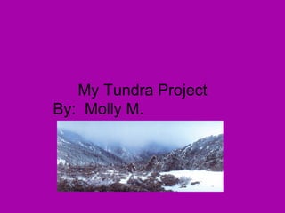 My Tundra Project By:  Molly M.    