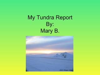 My Tundra Report By: Mary B. 