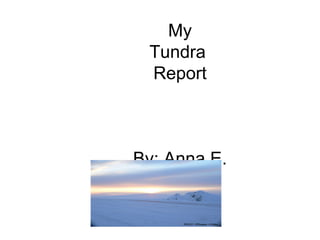 My Tundra  Report     By: Anna E. 