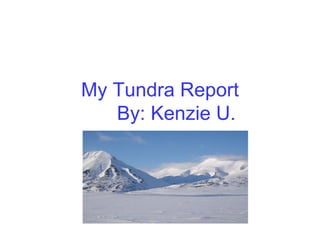 My Tundra Report   By: Kenzie U. 