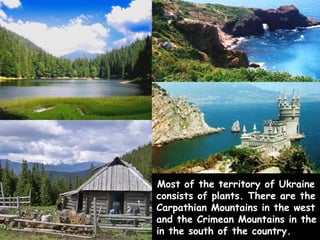 Most of the territory of Ukraine
consists of plants. There are the
Carpathian Mountains in the west
and the Crimean Mountains in the
in the south of the country.
 