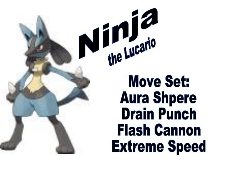 my ultimate pokemon team