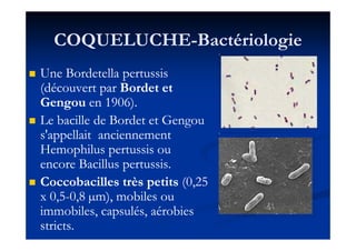 COQUELUCHECOQUELUCHE--BactériologieBactériologie
Une Bordetella pertussisUne Bordetella pertussis
(découvert par(découvert par Bordet etBordet et
GengouGengou enen 19061906).).
Le bacille de Bordet et GengouLe bacille de Bordet et Gengou
Impossible d'afficher l'image liée. Le fichier a peut-être été déplacé, renommé ou supprimé. Vérifiez que la liaison pointe vers le fichier et l'emplacement corrects.
Le bacille de Bordet et GengouLe bacille de Bordet et Gengou
s'appellait anciennements'appellait anciennement
Hemophilus pertussis ouHemophilus pertussis ou
encore Bacillus pertussis.encore Bacillus pertussis.
Coccobacilles très petitsCoccobacilles très petits ((00,,2525
xx 00,,55--00,,88 µm), mobiles ouµm), mobiles ou
immobiles, capsulés, aérobiesimmobiles, capsulés, aérobies
stricts.stricts.
Impossible d'afficher l'image liée. Le fichier a peut-être été déplacé, renommé ou supprimé. Vérifiez que la liaison pointe vers le fichier et l'emplacement corrects.
 