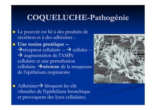 COQUELUCHECOQUELUCHE--PathogéniePathogénie
Le pouvoir est lié à des produits deLe pouvoir est lié à des produits de
sécrétion et à des adhésines :sécrétion et à des adhésines :
Une toxine protéiqueUne toxine protéique ----
récepteur cellulairerécepteur cellulaire ------ cellulescellules ----
augmentation de l'augmentation de l'AMPcAMPcaugmentation de l'augmentation de l'AMPcAMPc
cellulaire et une perturbationcellulaire et une perturbation
cellulaire.cellulaire. nécrosenécrose de la muqueusede la muqueuse
de l’de l’epithéiumepithéium respiratoirerespiratoire
AdhésinesAdhésines bloquent les cilsbloquent les cils
vibratiles de l'épithélium bronchiquevibratiles de l'épithélium bronchique
et provoquent des lyses cellulaires.et provoquent des lyses cellulaires.
 