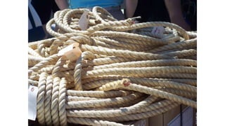 A view of Day 1, the 38 th Voyage; Charles W. Morgan Historic Ship