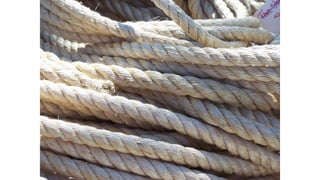 A view of Day 1, the 38 th Voyage; Charles W. Morgan Historic Ship