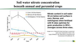 greenlandsbluewaters.org
Jungers et al., Reduced nitrate leaching in a perennial
grain crop compared to maize in the
Upper Midwest, USA. Agriculture, Ecosystems and
Environment 272 (2019) 63–73.
Nitrate content in soil water
50 cm below soil surface in
corn, Kernza, and
switchgrass when fertilized
with N rates optimize for
grain production in 2014 -
averages across three sites.
Soil water nitrate concentration
beneath annual and perennial crops
 