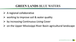 greenlandsbluewaters.org
GREEN LANDS BLUE WATERS
 A regional collaborative
 working to improve soil & water quality
 by increasing Continuous Living Cover
 on the Upper Mississippi River Basin agricultural landscape
 
