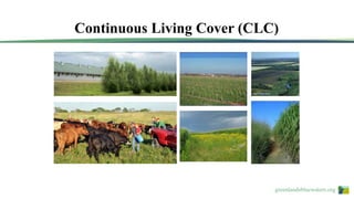 greenlandsbluewaters.org
Continuous Living Cover (CLC)
 