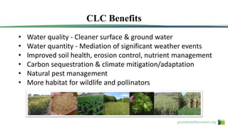 greenlandsbluewaters.org
CLC Benefits
• Water quality - Cleaner surface & ground water
• Water quantity - Mediation of significant weather events
• Improved soil health, erosion control, nutrient management
• Carbon sequestration & climate mitigation/adaptation
• Natural pest management
• More habitat for wildlife and pollinators
 