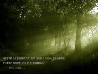 NESTE DESPERTAR, EM QUE A VIDA SE ABRE  ENTRE BOCEJOS E ALEGRIAS, PERCEBI...... 