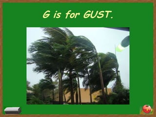 G is for GUST.




                 8
 