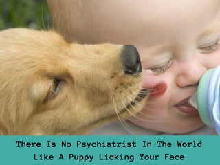 There Is No Psychiatrist In The World
Like A Puppy Licking Your Face
 
