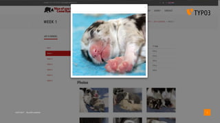 15/07/2017 My wife’s website 2
 