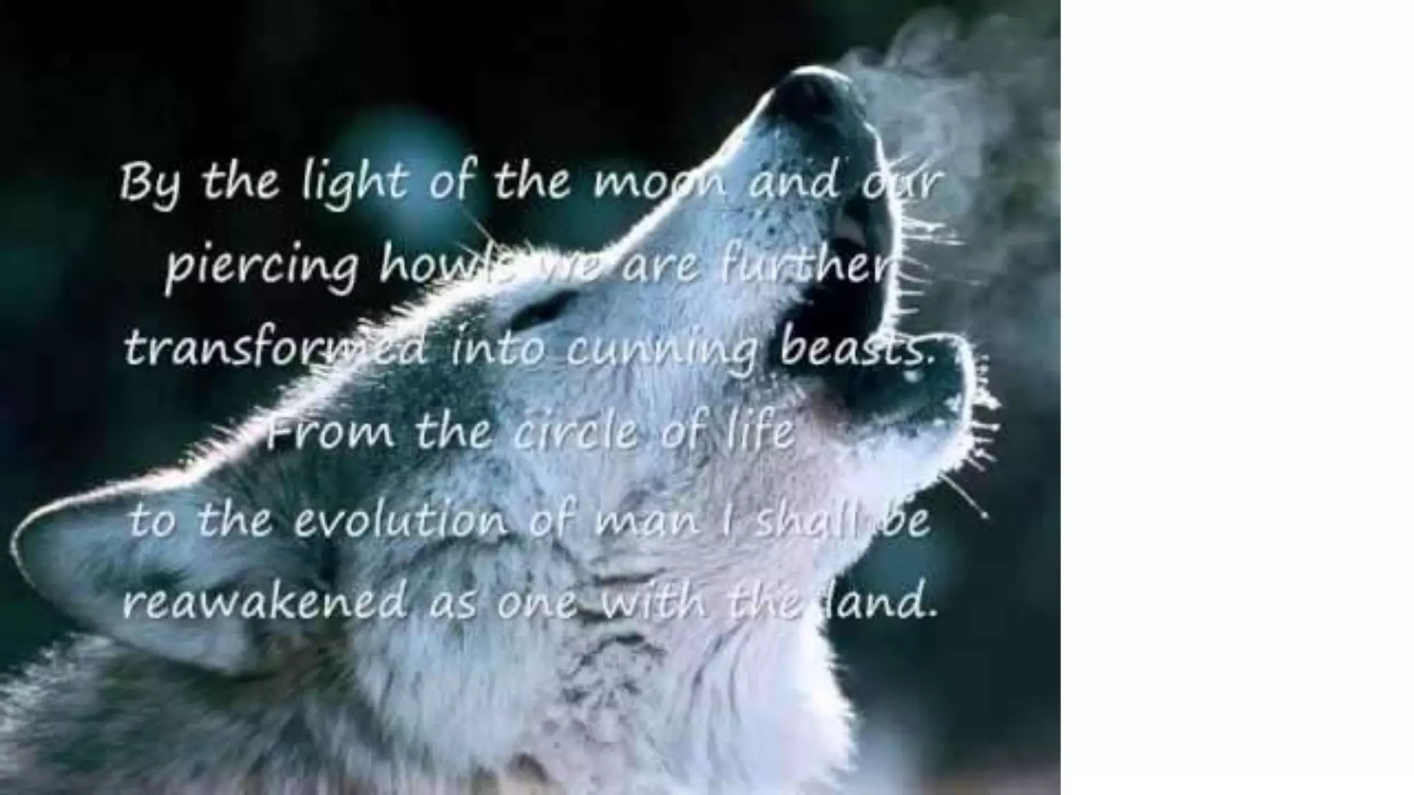 How to become a werewolf