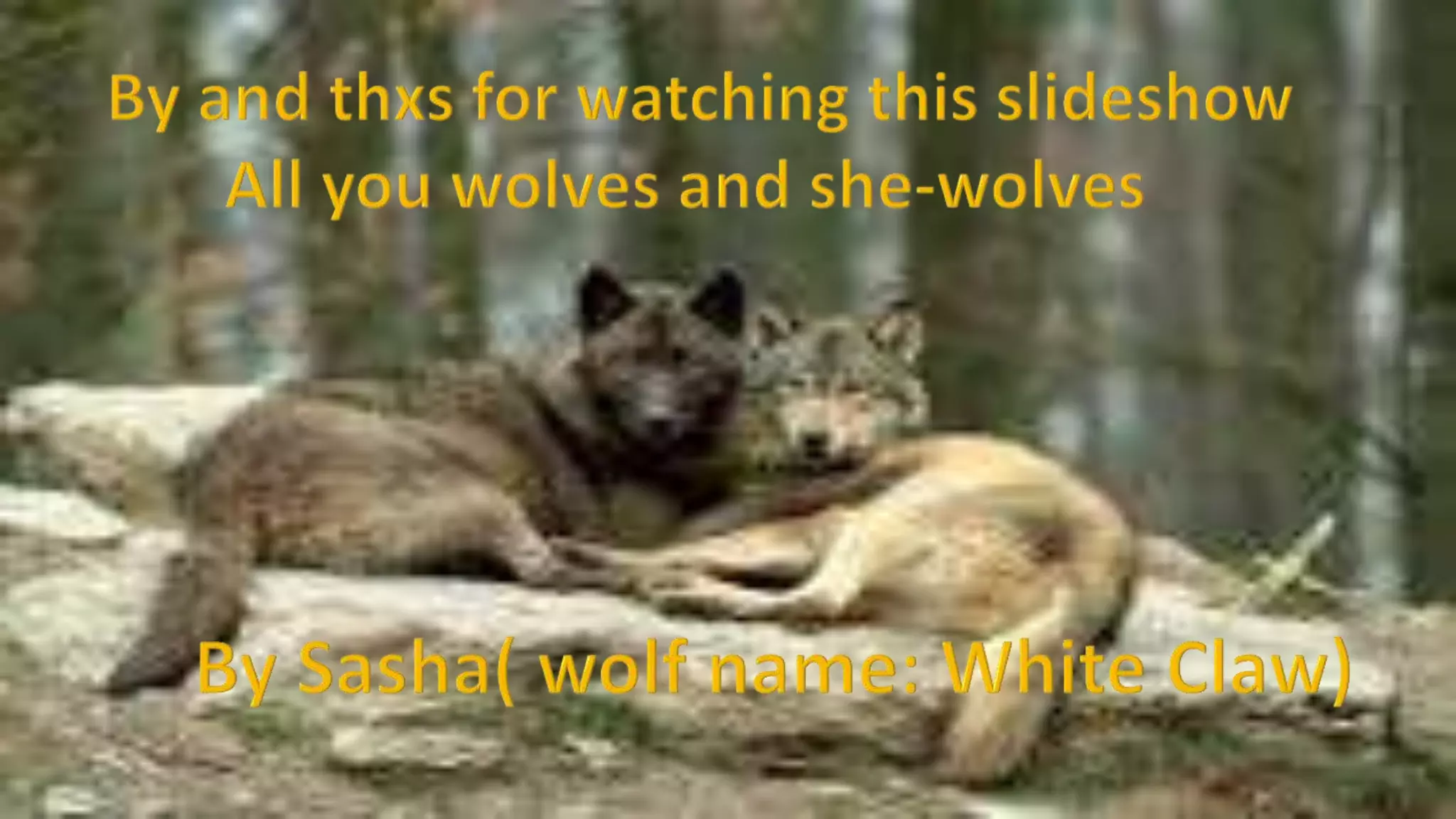 How to become a werewolf