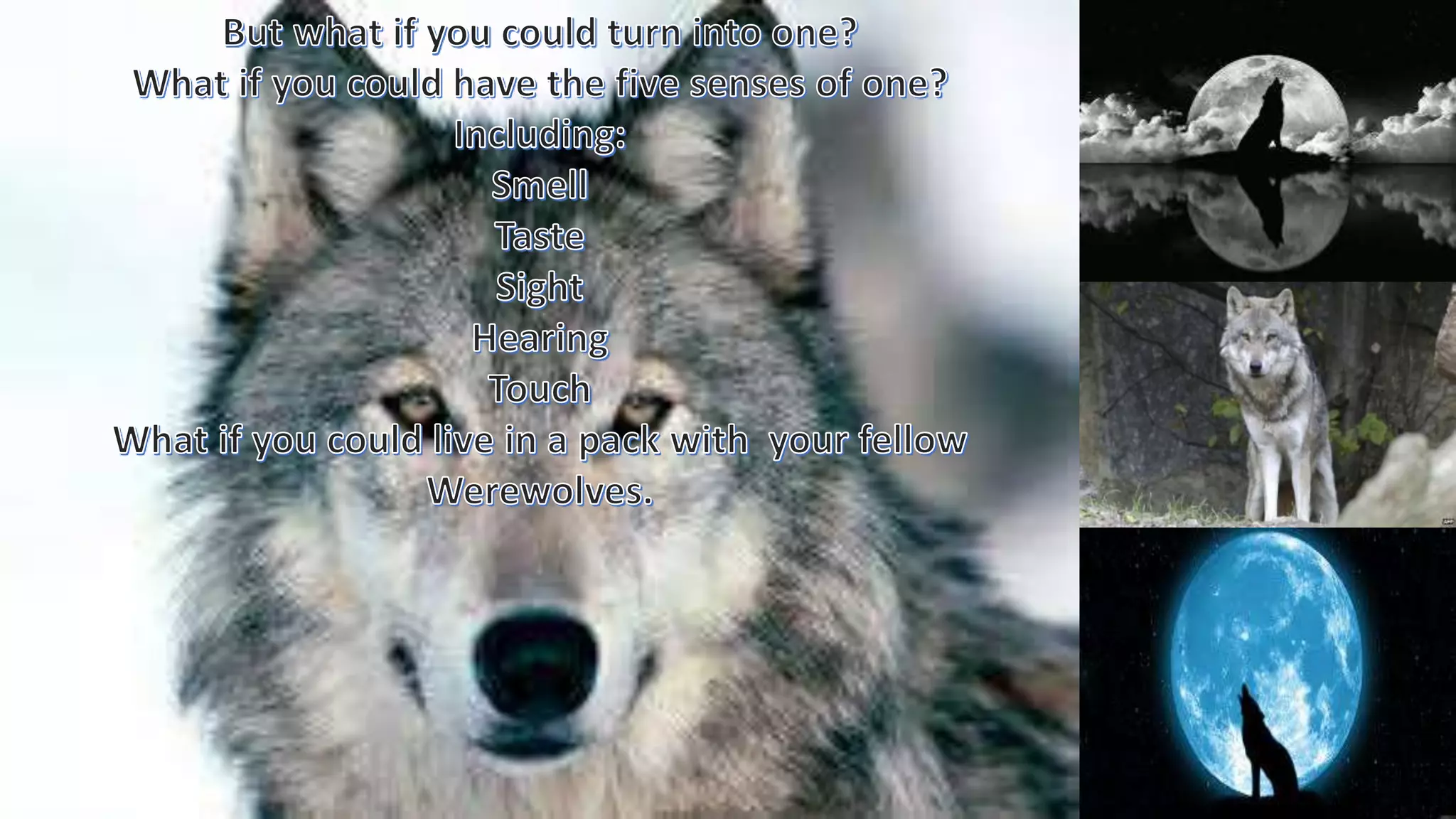 How to become a werewolf