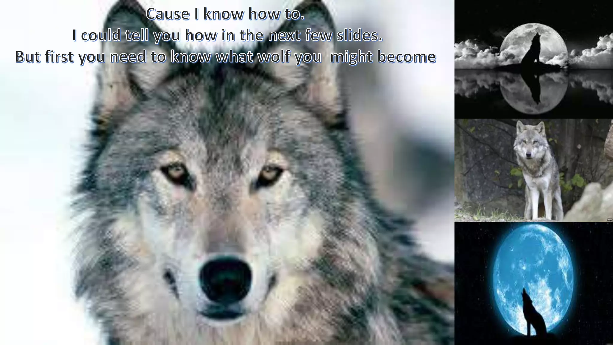 How to become a werewolf