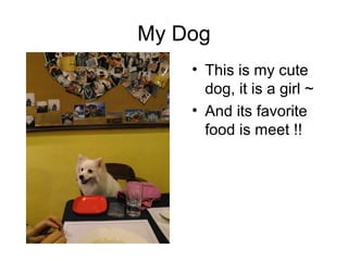 My Dog
• This is my cute
dog, it is a girl ~
• And its favorite
food is meet !!
 