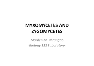 MYXOMYCETES AND 
  ZYGOMYCETES 
  Marilen M. Parungao 
 Biology 112 Laboratory 
 