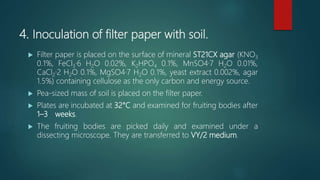 4. Inoculation of filter paper with soil.
 Filter paper is placed on the surface of mineral ST21CX agar (KNO3
0.1%, FeCl3·6 H2O 0.02%, K2HPO4 0.1%, MnSO4·7 H2O 0.01%,
CaCl2·2 H2O 0.1%, MgSO4·7 H2O 0.1%, yeast extract 0.002%, agar
1.5%) containing cellulose as the only carbon and energy source.
 Pea‐sized mass of soil is placed on the filter paper.
 Plates are incubated at 32°C and examined for fruiting bodies after
1–3 weeks.
 The fruiting bodies are picked daily and examined under a
dissecting microscope. They are transferred to VY/2 medium.
 