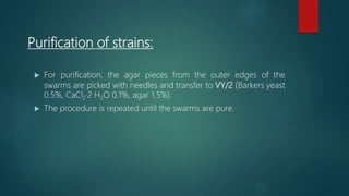 Purification of strains:
 For purification, the agar pieces from the outer edges of the
swarms are picked with needles and transfer to VY/2 (Barkers yeast
0.5%, CaCl2·2 H2O 0.1%, agar 1.5%).
 The procedure is repeated until the swarms are pure.
 