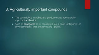 3. Agriculturally important compounds
 The bacteriolytic myxobacteria produce many agriculturally
important antibiotics.
 Such as thiangazol: It is considered as a good antagonist of
phytopathogens that destroy useful plants.
 