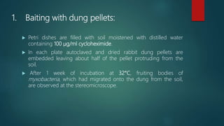 1. Baiting with dung pellets:
 Petri dishes are filled with soil moistened with distilled water
containing 100 μg/ml cycloheximide.
 In each plate autoclaved and dried rabbit dung pellets are
embedded leaving about half of the pellet protruding from the
soil.
 After 1 week of incubation at 32°C, fruiting bodies of
myxobacteria, which had migrated onto the dung from the soil,
are observed at the stereomicroscope.
 