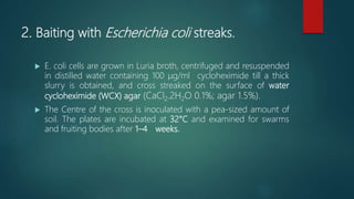 2. Baiting with Escherichia coli streaks.
 E. coli cells are grown in Luria broth, centrifuged and resuspended
in distilled water containing 100 μg/ml cycloheximide till a thick
slurry is obtained, and cross streaked on the surface of water
cycloheximide (WCX) agar (CaCl2.2H2O 0.1%; agar 1.5%).
 The Centre of the cross is inoculated with a pea‐sized amount of
soil. The plates are incubated at 32°C and examined for swarms
and fruiting bodies after 1–4 weeks.
 