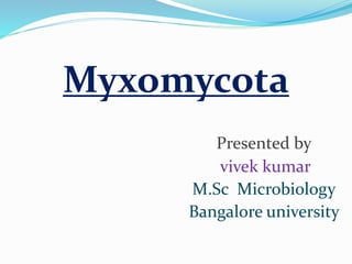 Myxomycota
Presented by
vivek kumar
M.Sc Microbiology
Bangalore university
 