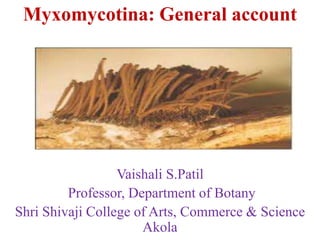 Myxomycotina: General account
Vaishali S.Patil
Professor, Department of Botany
Shri Shivaji College of Arts, Commerce & Science
Akola
 