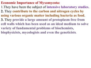 Economic Importance of Myxomycota:
1.They have been the subject of intensive laboratory studies.
2. They contribute to the carbon and nitrogen cycles by
using various organic matter including bacteria as food.
3. They provide a large amount of protoplasm free from
cell walls which has been used as an ideal medium to solve
variety of fundamental problems of biochemists,
biophysicists, mycologists and even the geneticists.
 