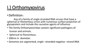I.) Orthomyxovirus
• Definition :
Any of a family of single stranded RNA viruses that have a
spherical or filamentous virion with numerous surface projection of
glycoprotein and include the causative agents of influenza.
• The family Orthomyxoviridae contain significant pathogens of
human and animals .
• Spherical to filamentous.
• 100nm in diameter.
• Genomes are segmented, single –stranded negative –strand RNA
 
