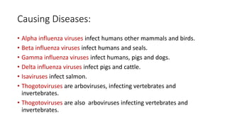 Causing Diseases:
• Alpha influenza viruses infect humans other mammals and birds.
• Beta influenza viruses infect humans and seals.
• Gamma influenza viruses infect humans, pigs and dogs.
• Delta influenza viruses infect pigs and cattle.
• Isaviruses infect salmon.
• Thogotoviruses are arboviruses, infecting vertebrates and
invertebrates.
• Thogotoviruses are also arboviruses infecting vertebrates and
invertebrates.
 