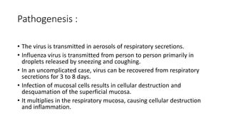 Pathogenesis :
• The virus is transmitted in aerosols of respiratory secretions.
• Influenza virus is transmitted from person to person primarily in
droplets released by sneezing and coughing.
• In an uncomplicated case, virus can be recovered from respiratory
secretions for 3 to 8 days.
• Infection of mucosal cells results in cellular destruction and
desquamation of the superficial mucosa.
• It multiplies in the respiratory mucosa, causing cellular destruction
and inflammation.
 