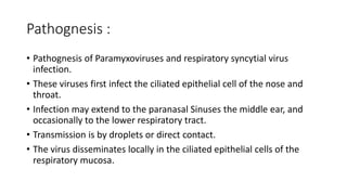 Pathognesis :
• Pathognesis of Paramyxoviruses and respiratory syncytial virus
infection.
• These viruses first infect the ciliated epithelial cell of the nose and
throat.
• Infection may extend to the paranasal Sinuses the middle ear, and
occasionally to the lower respiratory tract.
• Transmission is by droplets or direct contact.
• The virus disseminates locally in the ciliated epithelial cells of the
respiratory mucosa.
 