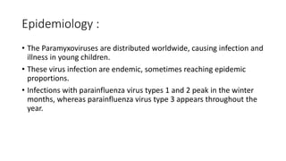 Epidemiology :
• The Paramyxoviruses are distributed worldwide, causing infection and
illness in young children.
• These virus infection are endemic, sometimes reaching epidemic
proportions.
• Infections with parainfluenza virus types 1 and 2 peak in the winter
months, whereas parainfluenza virus type 3 appears throughout the
year.
 