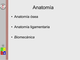 Anatomía
• Anatomía ósea
• Anatomía ligamentaria
• Biomecánica
 