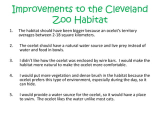Improvements to the Cleveland Zoo HabitatThe habitat should have been bigger because an ocelot’s territory averages between 2-18 square kilometers.2.	The ocelot should have a natural water source and live prey instead of water and food in bowls.3. 	I didn’t like how the ocelot was enclosed by wire bars.  I would make the habitat more natural to make the ocelot more comfortable. I would put more vegetation and dense brush in the habitat because the ocelot prefers this type of environment, especially during the day, so it can hide.5.  	I would provide a water source for the ocelot, so it would have a place to swim.  The ocelot likes the water unlike most cats.