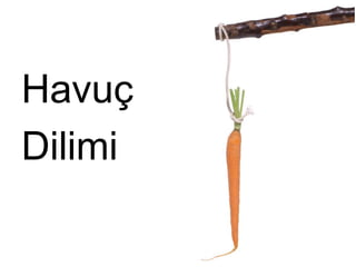 Havuç
Dilimi
 