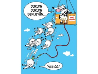 ü Yönetimi