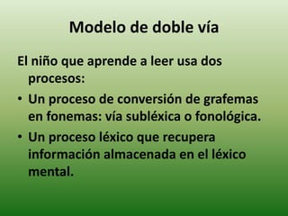 Modelo de doble vía 
El niño que aprende a leer usa dos 
procesos: 
• Un proceso de conversión de grafemas 
en fonemas: vía subléxica o fonológica. 
• Un proceso léxico que recupera 
información almacenada en el léxico 
mental. 
 