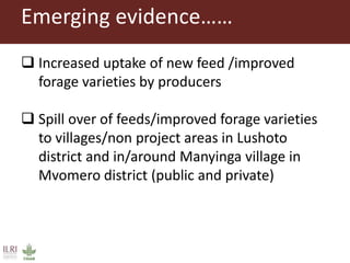 Maziwa Zaidi Vision of Success: Translating the Theory of Change into tangible benefits in the ‘pockets’ of beneficiaries